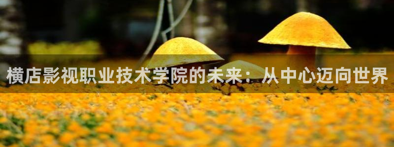光棍影院秋霞网：横店影视职业技术学院的未来：从中心迈向世界