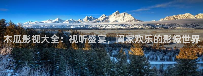 秋霞电影手机入口：木瓜影视大全：视听盛宴，阖家欢乐的影像世界