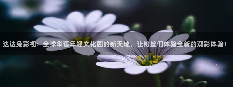 嫂子吧电影院秋霞电影网：达达兔影视：全球华语年轻文化圈的新天地，让粉丝们体验全新的观影体验！