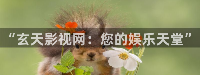 秋霞伦理影音：“玄天影视网：您的娱乐天堂”