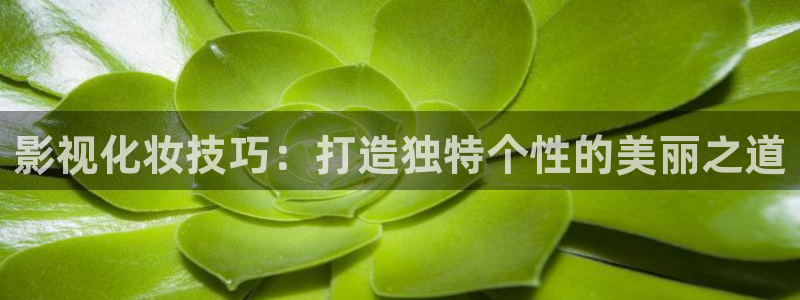 秋霞电影网电视剧全集