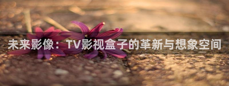 秋霞电影网com