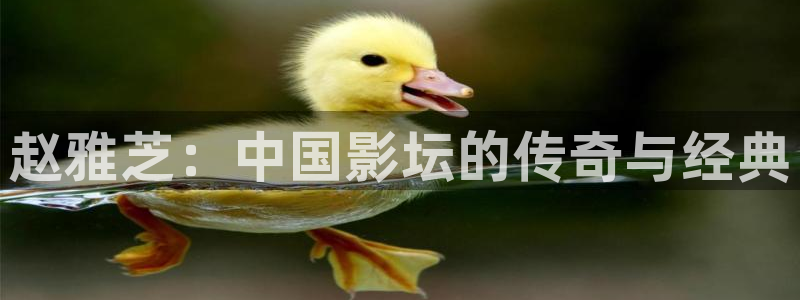 午夜电影通秋霞